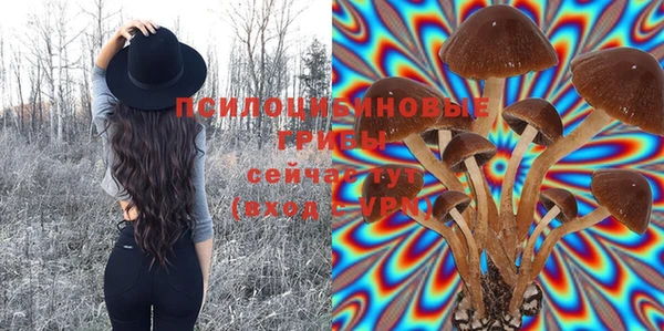 a pvp Михайловка